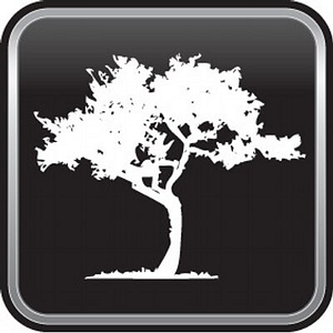 The Orchard - Logo