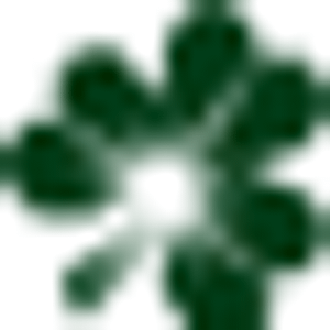Harry Cassidy - Logo