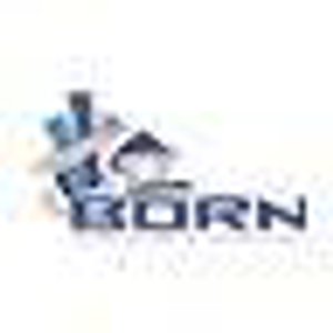 Born Inspections - Logo