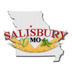 salisbury Public Pool - Logo