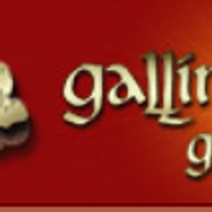 Gallimaufry Gallery