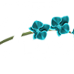 Flora Designs By Donna - Logo