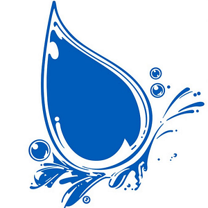 Basement Services 911 - Logo