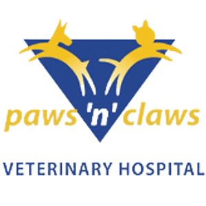 Paws 'n' Play Doggy Daycare - Logo