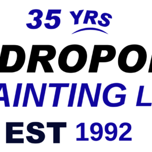 Andropolis Painting LLC