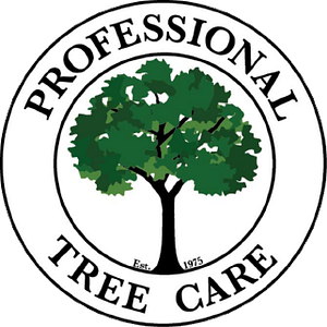 Professional Tree Care