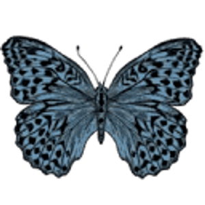Paul's Pharmacy East - Logo
