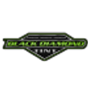 Black Diamond Tint - Logo