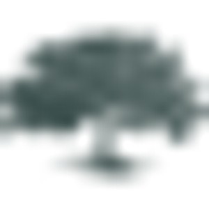 Temecula Creek Golf Club - Logo