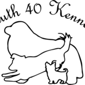 South Forty Kennel