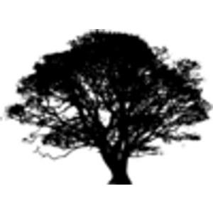 Solberg Builders LLC