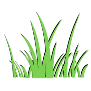 The Weed Solution - Logo