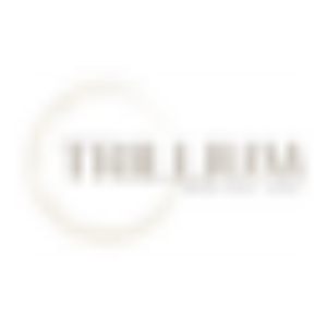 The Fitz Aesthetics and Wellness - Logo