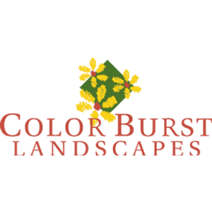 Color Burst Landscapes - Logo