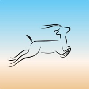 Antelope Recovery - Logo