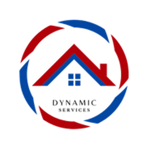 Dynamic Services - Logo