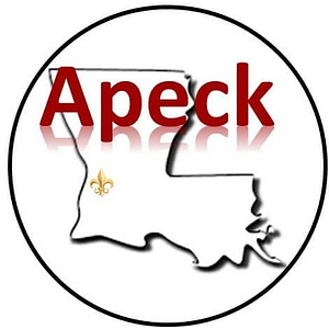 Apeck Construction LLC - Logo