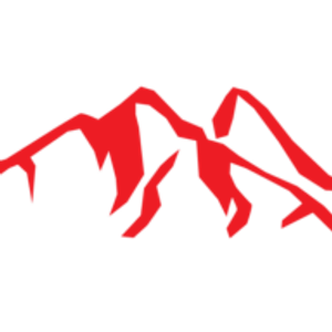 Swiss Construction - Logo