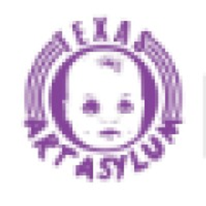 Texas Art Asylum - Logo