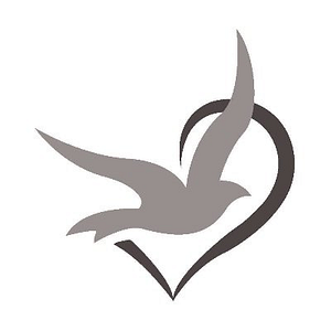 Elevate Care Chicago North - Logo
