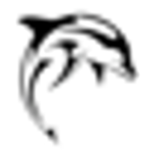 Dolphin Tours Jacksonville