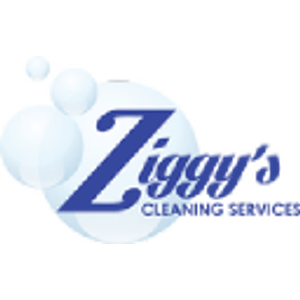 Ziggy's Cleaning Services - Logo