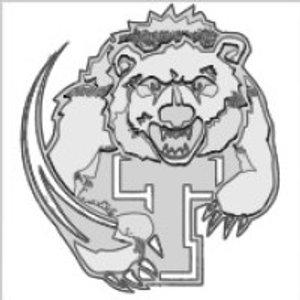 Turner Aquatic Center - Logo