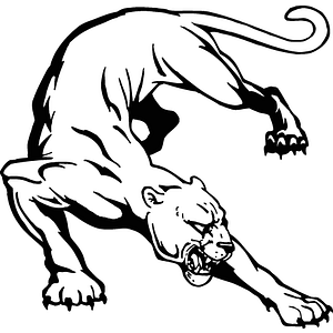 Catamount Restoration Services, LLC - Logo