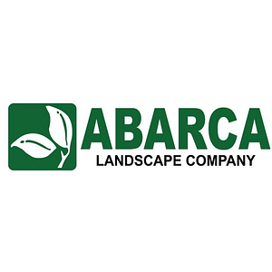 Abarca Landscape