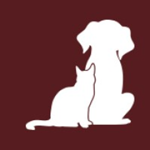 The Dog Haus - Logo