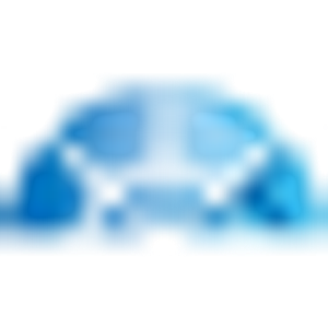 Raw Window Cleaning - Logo