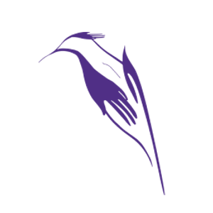 Halcyon Massage and Wellness