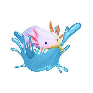 Axolotls Tulsa - Logo
