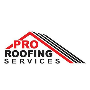 Pro Roofing Services