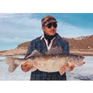 Kibler Outfitting & Charter Fishing llp - Logo