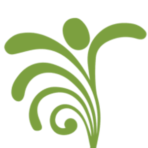 Wallingford Yoga - Yoga studio in Seattle