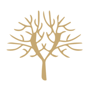 Yen Health & Wellness - Logo