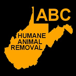 ABC Humane Animal Removal