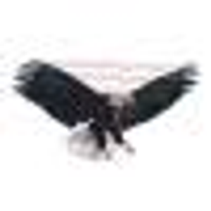 USA Eagle Carports