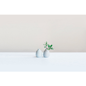 Vancouver ADHD and Mood Clinic - Logo
