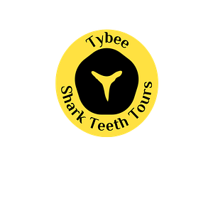 Tybee Shark Teeth Tours - Logo