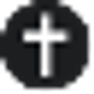 St Vincent De Paul - Logo