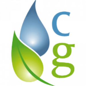 Clean Green Carpet Cleaning LLC