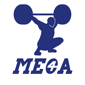 Michigan Elite Conditioning for Athletes - Royal Oak - Logo