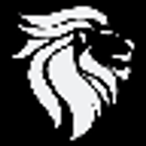 Boss Granite - Logo