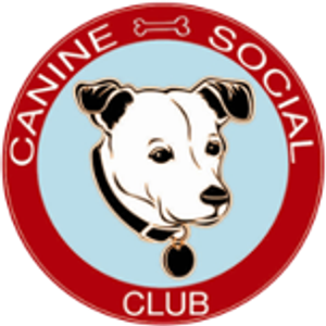 Canine Social Club