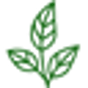 Lexington Lawn & Landscape - Logo