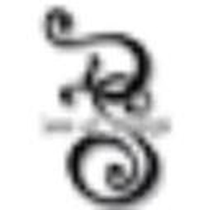DS Skin Care & Waxing Studio - Logo