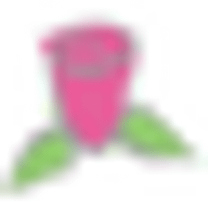 Joseph Genuardi Florist & Flower Delivery
