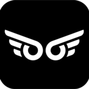 Wise Guyz Services - Logo